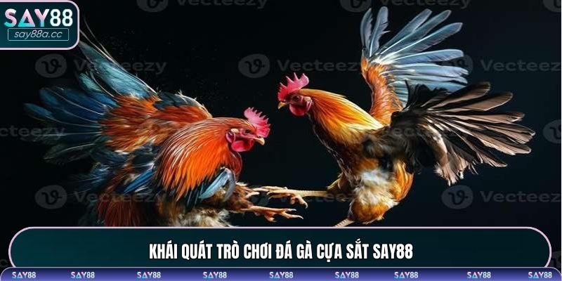 Đôi nét về trò chơi đá gà cựa sắt đầy kịch tính