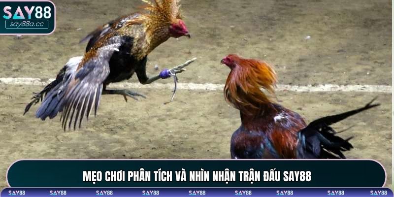 Mẹo chơi đá gà hôm nay được chia sẻ từ cao thủ