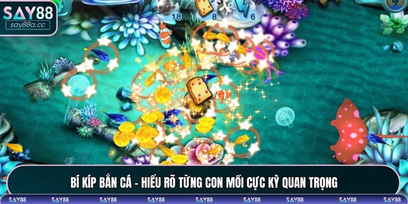 Bí kíp bắn cá - Chọn bàn đấu phù hợp với tài chính cá nhân