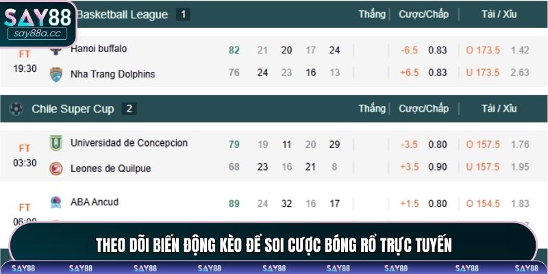 Theo dõi biến động kèo để soi cược bóng rổ trực tuyến