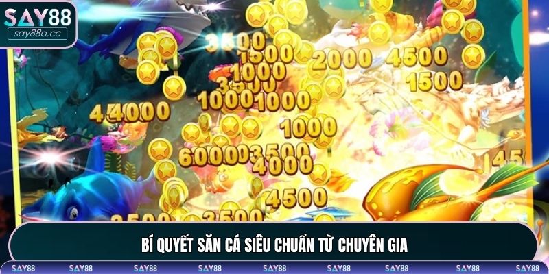 Bí quyết chơi bắn cá siêu chuẩn thu thưởng lớn từ chuyên gia