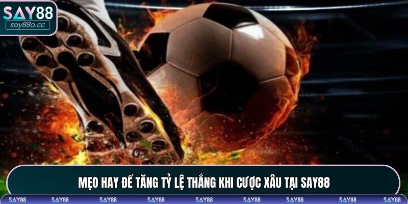 Mẹo hay để tăng tỷ lệ thắng khi cược xâu tại SAY88