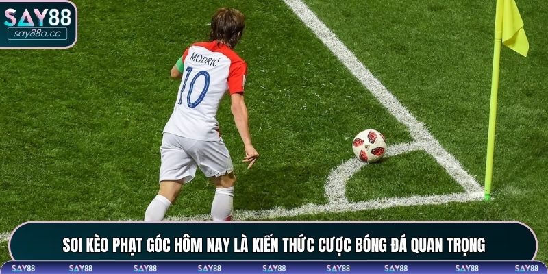 Soi kèo phạt góc hôm nay là kiến thức cược bóng đá quan trọng