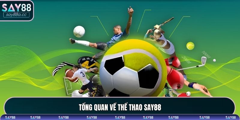 Những nét cơ bản về thể thao SAY88