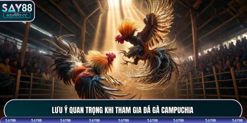 Một vài lưu ý khi tham gia đá gà Campuchia cần nhớ